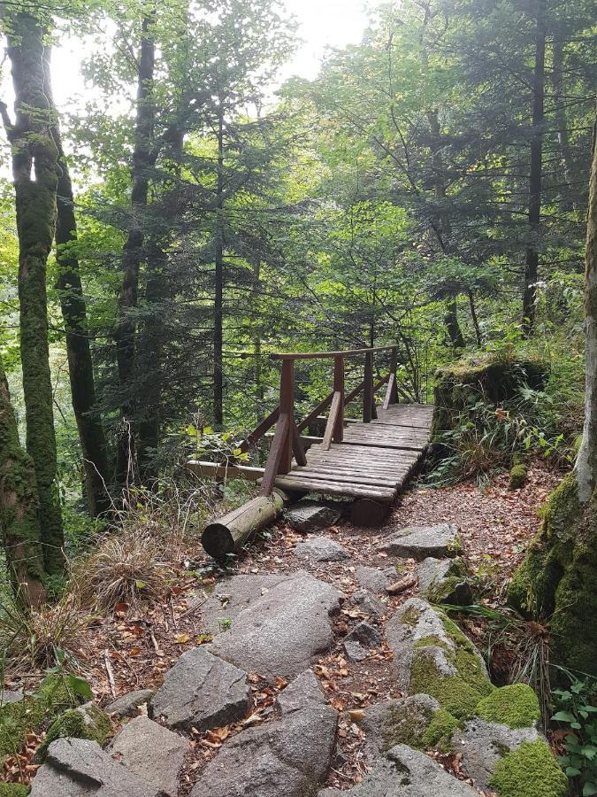 Naturezenkota Mittlach Buitenkant foto