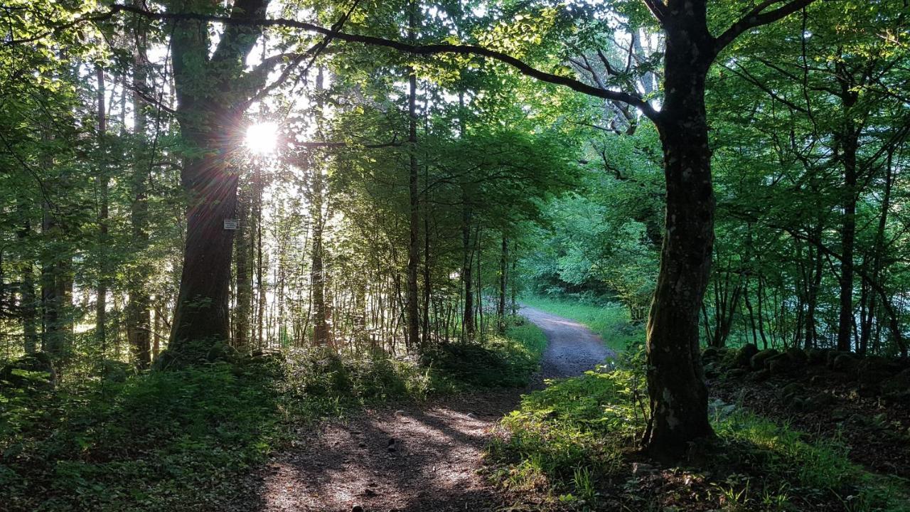 Naturezenkota Mittlach Buitenkant foto